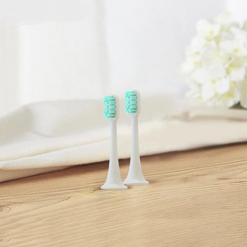 Рисунок 3 - Насадки для электрической зубной