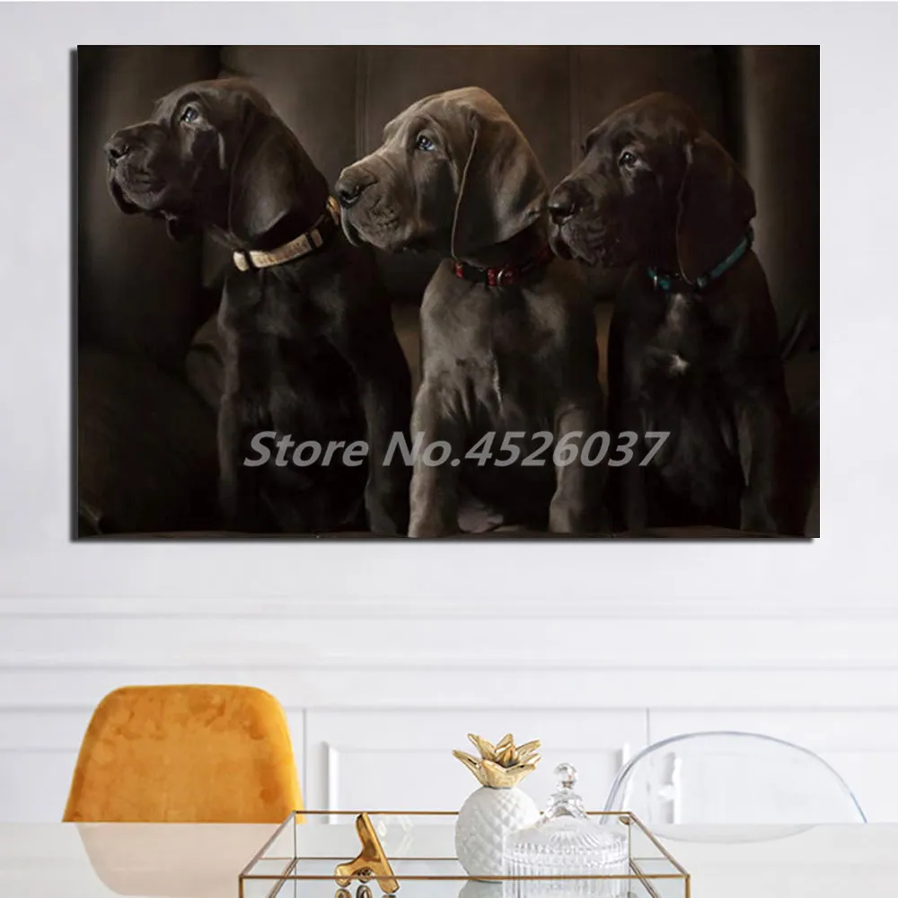 Animals Dog Cute Hounds Great Dane Canvas Prints Paintings For Living Room Poster On The Wall Home Decor | Дом и сад