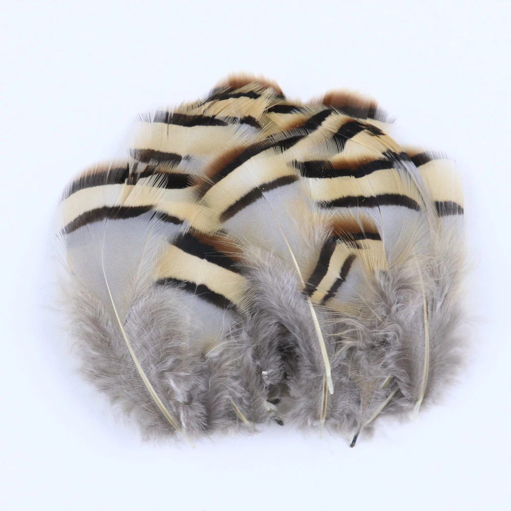 WCFeatherS 29 Styles Natural feather Pheasant Peacock Chicken feathers DIY Mask Jewelry Decoration Accessory Plumes Plumas