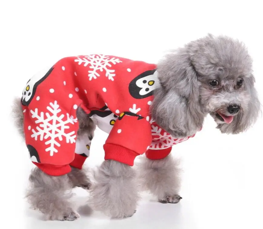 QQ截图20191030174700