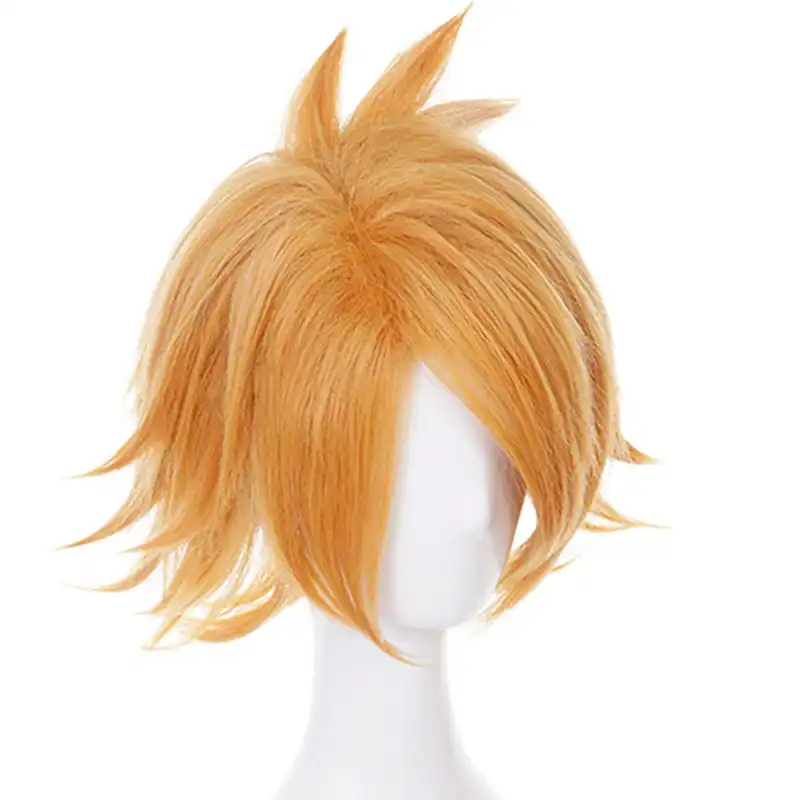 denki wig