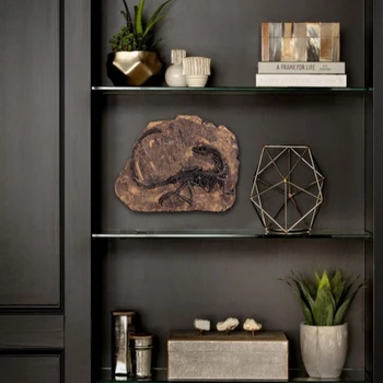 

Tyrannosaurus Rex Dinosaur Fossil Jurassic Cretaceous Gift 130 Million Years Old