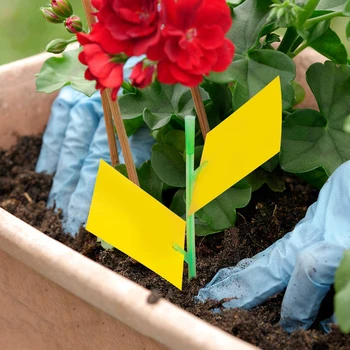 

30 Pack Yellow Sticky Traps For Fruit Fly And Insect Like,Leafminers Whiteflies Pest Control Products Repellents
