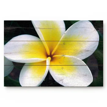 

Yellow White Flower Wooden Kitchen Floor Bath Entrance Rug Mat Absorbent Indoor Bathroom Decor Doormats