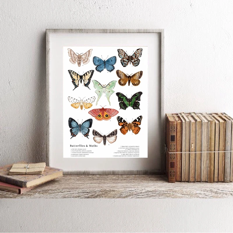 Butterflies-And-Moths-Canvas-Art-Prints-Insect-Nature-Art-Canvas-Painting-Wall-Picture-Educational-Poster-Kindergarten