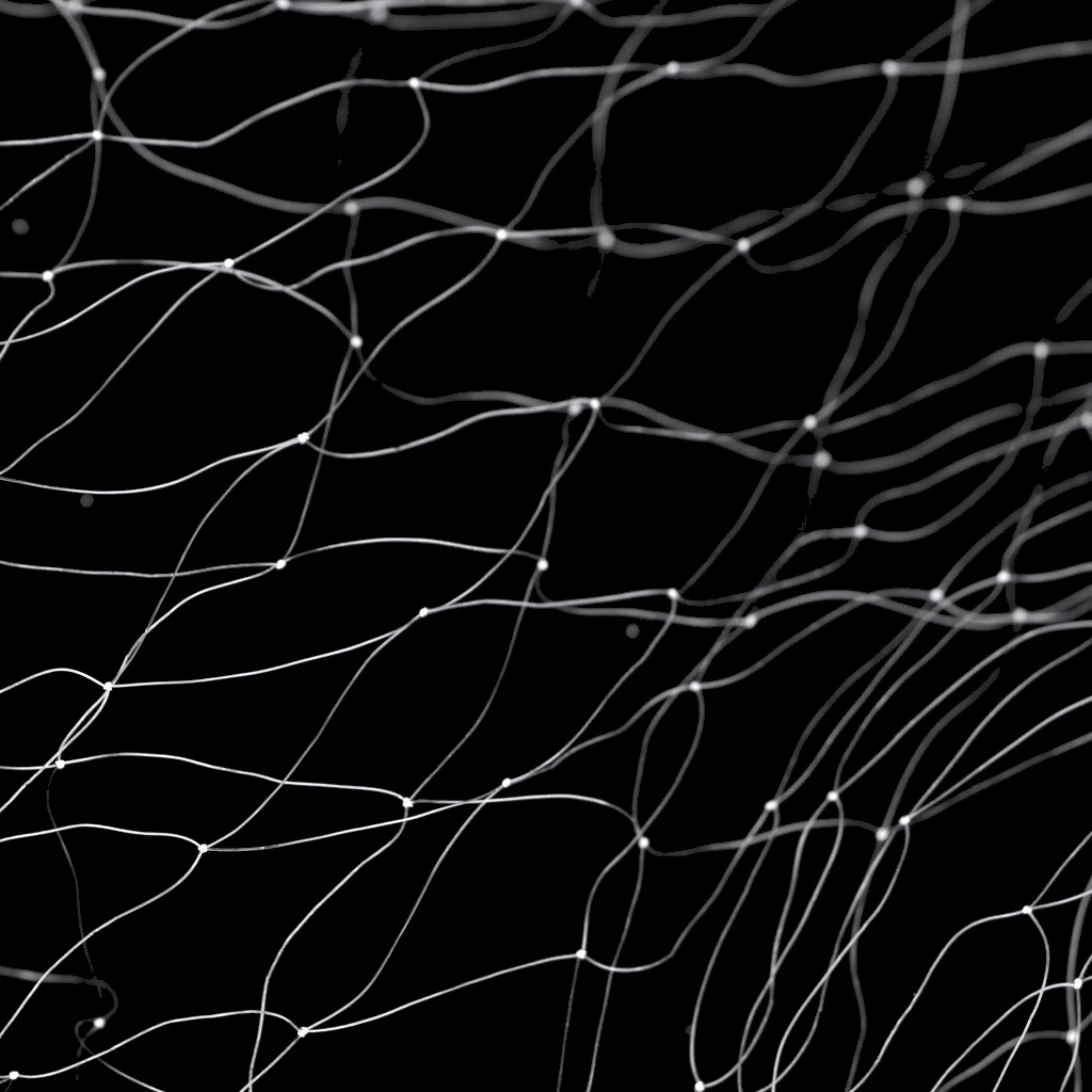 50m 3 Layer Fishing Fish Mesh Trap Nylon Clear with Float Monofilament Fishing Gill Net Gillnet Trap Fishing Nets Tackles Pesca