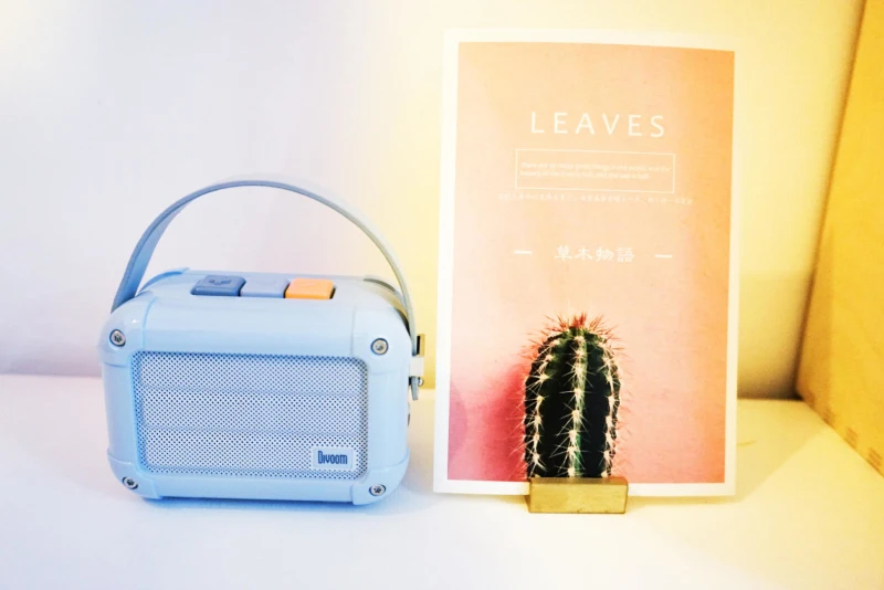 12204618-699ea4746fb42514