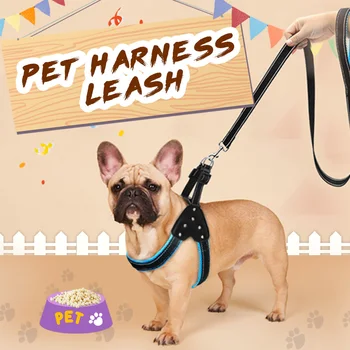 

Reflective Nylon Rhinestone Dog Harnesses Step in Soft Mesh Padded Small Dog Puppy Harness Leash Set Safety For Walking S M L