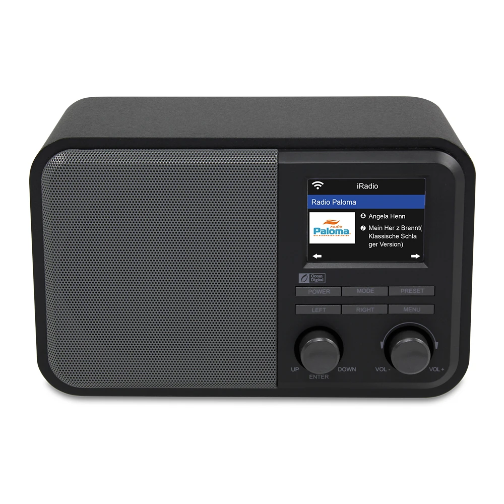 DAB+ WiFi радио океан цифровой WR-330 интернет радио многоязычное меню Bluetooth умное радио