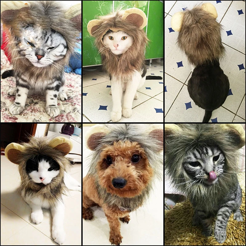 Животное кошка собака эмуляция льва волосы грива уши шапка осень зима Лев грива животное кошка шляпа льва грива парик милый костюм для питомца