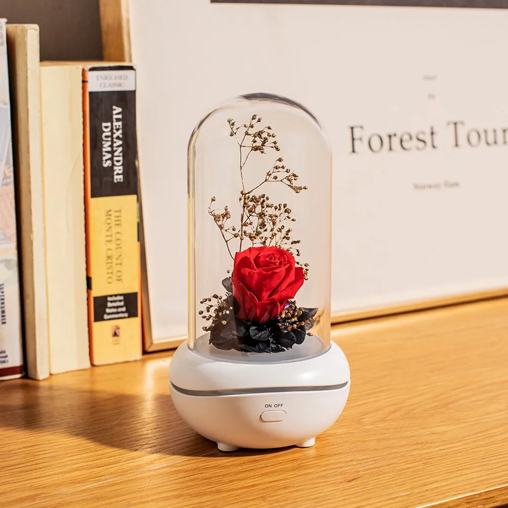 

Home Decoration Night Lamp Eternal Flower Aromatherapy Lamp Built In USB Rechargeable Battery Colorful Night Light Gift