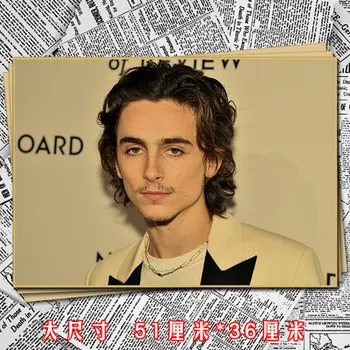 

Tim Teemo Timmy Timothée Chalamet Vinyl Wall Sticker Decor Poster Decal Kraft paper Double faced adhesive tape free