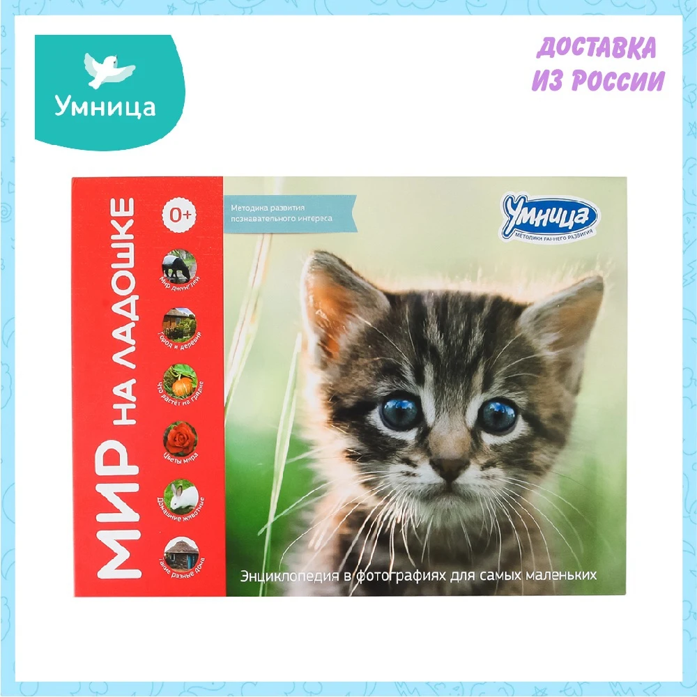 МИР НА ЛАДОШКЕ Умница 6 в 1 - Выпуск 3 | Игрушки и хобби