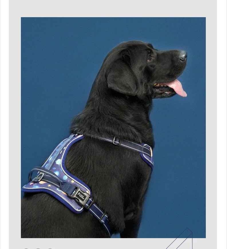 TUFF HOUND, двойная воздушная сетка Drytek, жгут, яркие цвета, не тянет, собачий жгут, дышащая сетка, костюм для маленьких, средних и больших собак