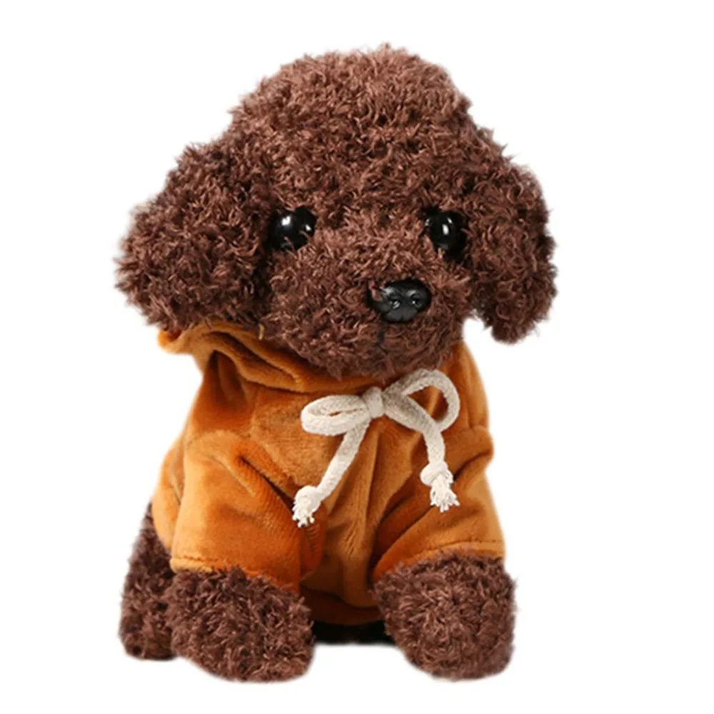 Teddy Dog Rag  (21)