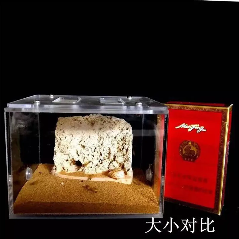 微信图片_20190811095531