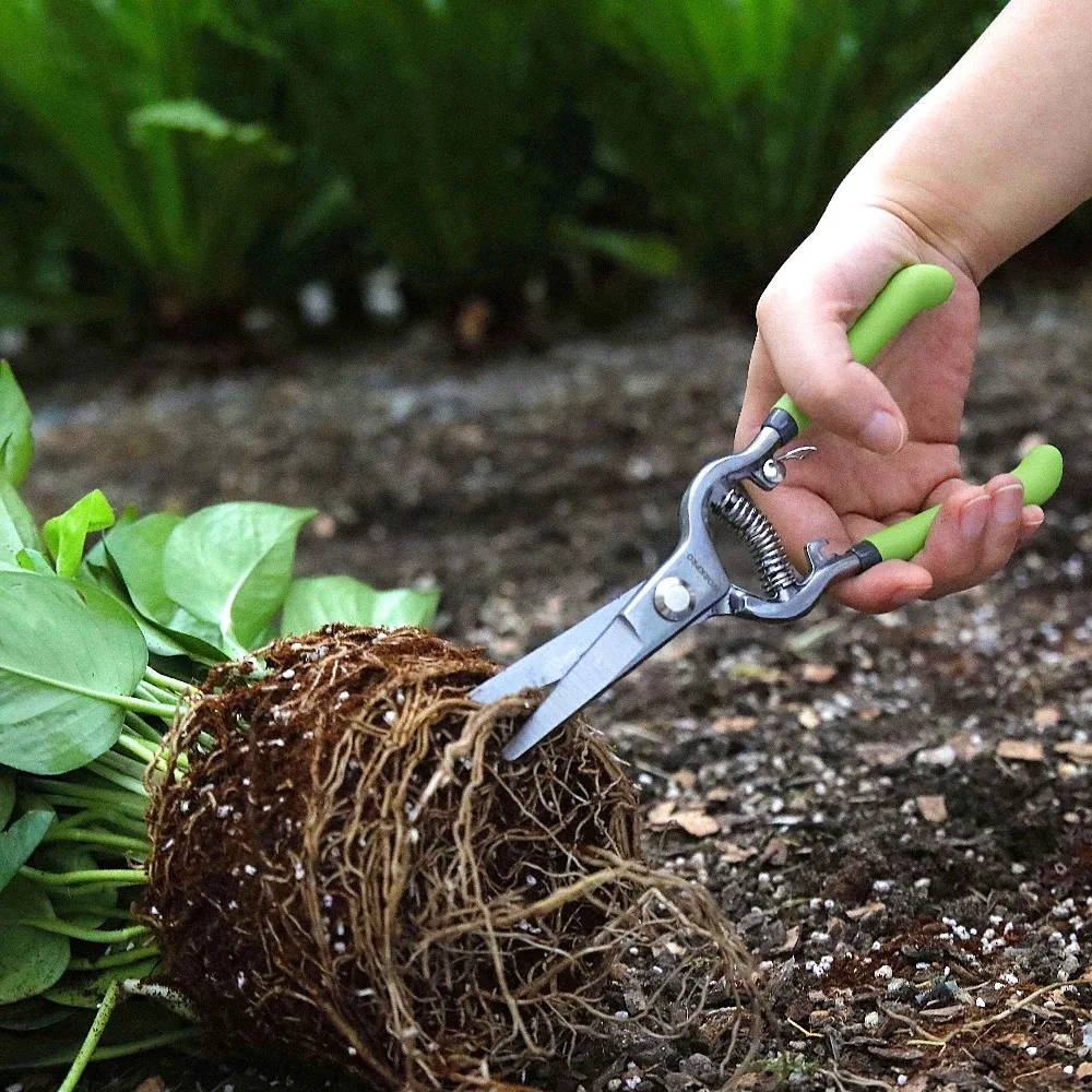 Garden Shears_44_wps图片