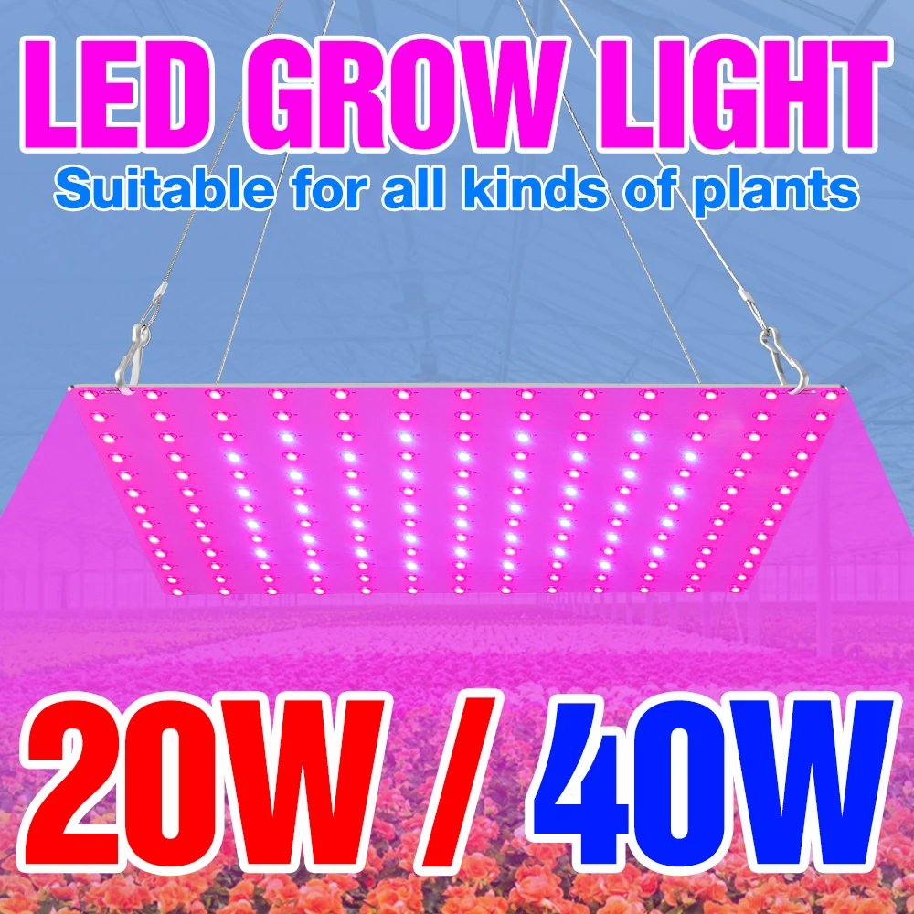 

BiaRiTi Plant Light Full Spectrum LED Grow Light 20W 40W LED Hydroponics Lighting 220V Growing LED Phyto Lamp EU US UK Plug 110V