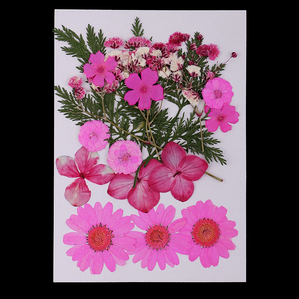 Lots Mixed Real Pressed Flower Dried Flowers Scrapbooking Phone Cover DIY Crafts Home Decoration Jewelry Making