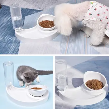 

Cat Feeder Bowl Water Food Bowl Set No-Spill Pet Dog Automatic Water Dispenser