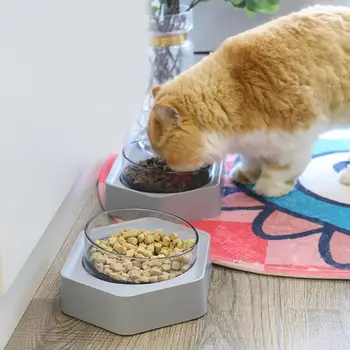 

Pet Hexagonal Inclined Bowl Eating/Drinking Feeder with Separate Design for Cat