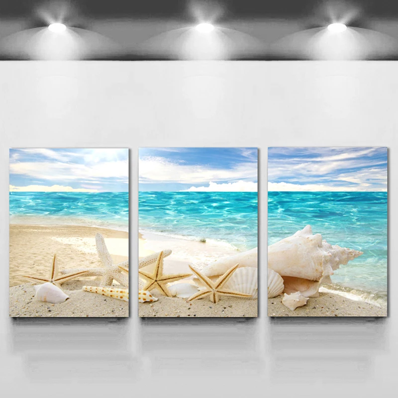 Seashore Seashell 3 Piece Collection 4