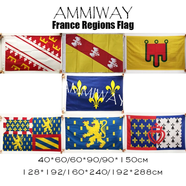 Ammiway France Alsace Lorraine Auvergne France Ile De Bourgogne Franche  Comte Flags French Unofficial Flag Of Pays De La Loire - Flags - AliExpress