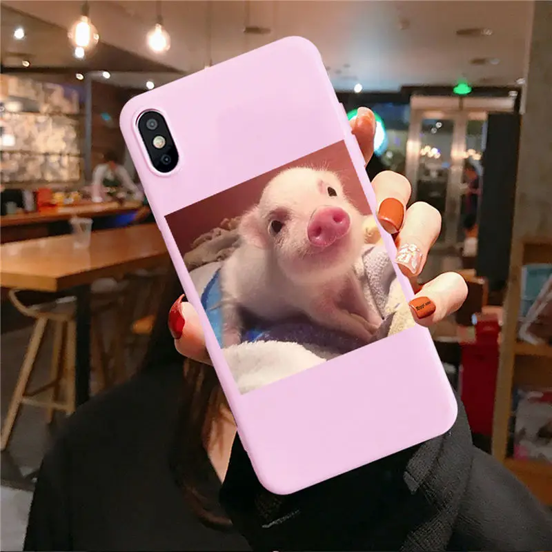 Забавный чехол для телефона с рисунком поросенка для iphone 11 Pro XS MaxX XR чехол для iphone 6 S 5 5S 7 8 plus Мягкий чехол милые Чехлы для пар - Цвет: Pink TPU F3183
