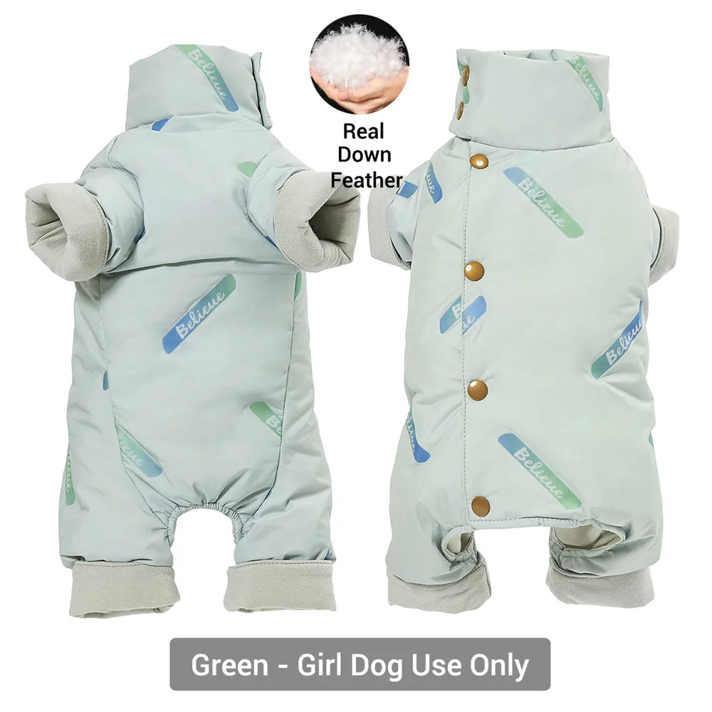 dog jacket for cold weather