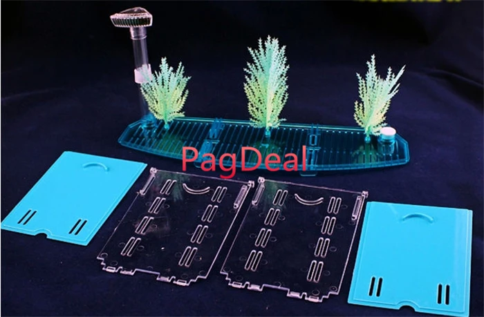 betta box03