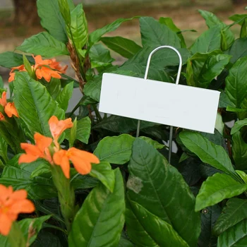 

30Pcs Horticultural Plant Label Growth Mark Metal Label Garden Pot Label Insert Reusable Nursery Label