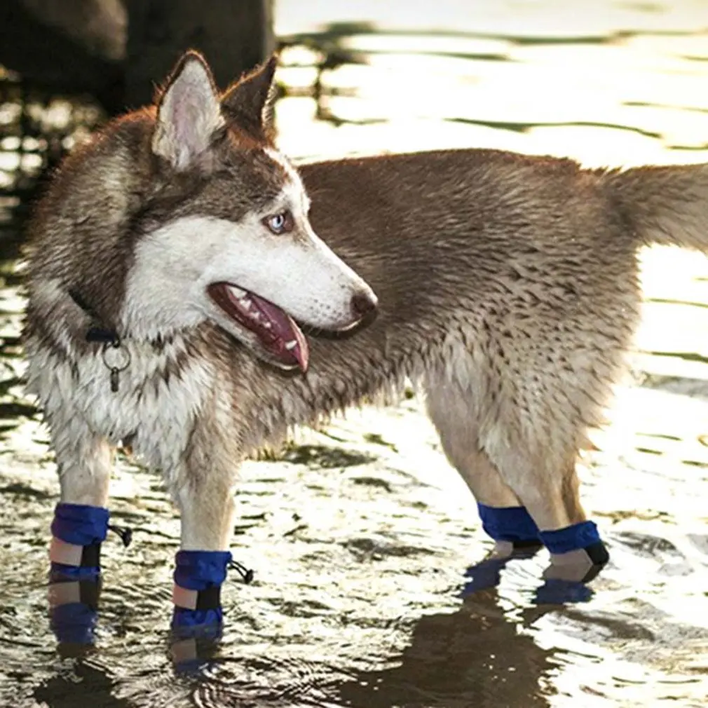 Обувь для собак с высокой талией; золотистый ретривер; Samos Husky; водонепроницаемые Нескользящие ботинки для больших собак; обувь для домашних животных