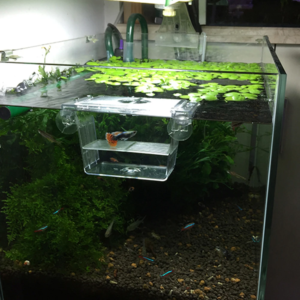 Transparent Aquarium Incubator fish breeding box For Fish Tank Isolation Box Acrylic Hatchery Fish Decoration tank Spawning Hatching Room Hot