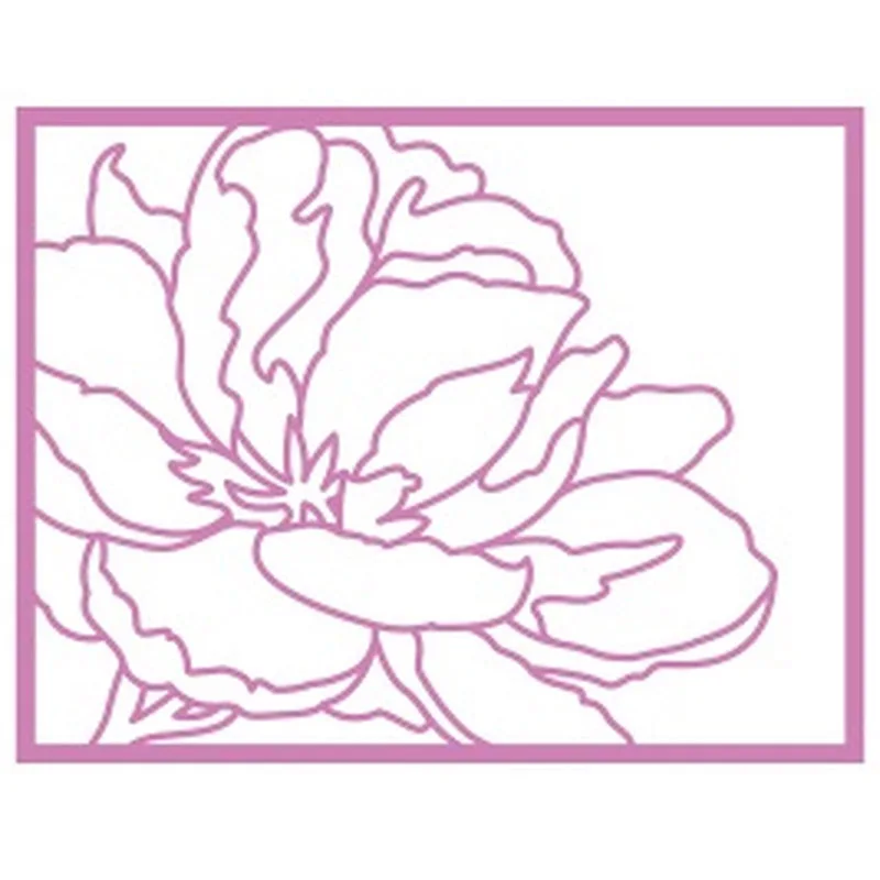 653482-2__22238.1560967912