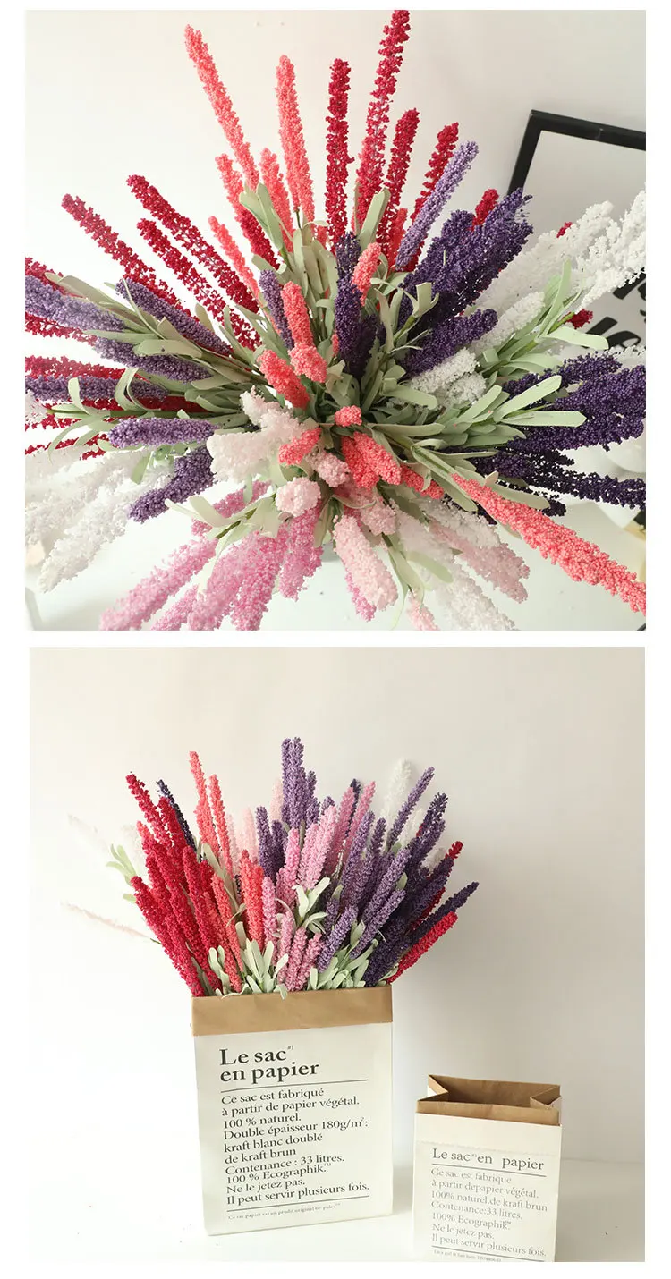 15029796850_1245478559