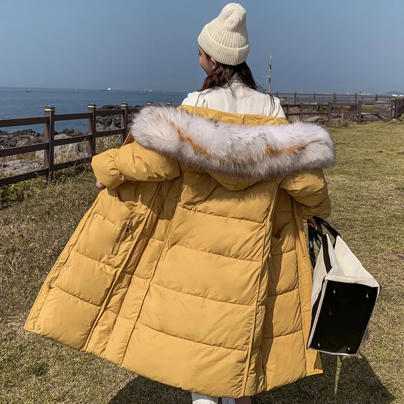 Новая зимняя куртка в Корейском стиле, Женская длинная куртка с капюшоном, воротник из густого меха, теплая свободная Дамская парка