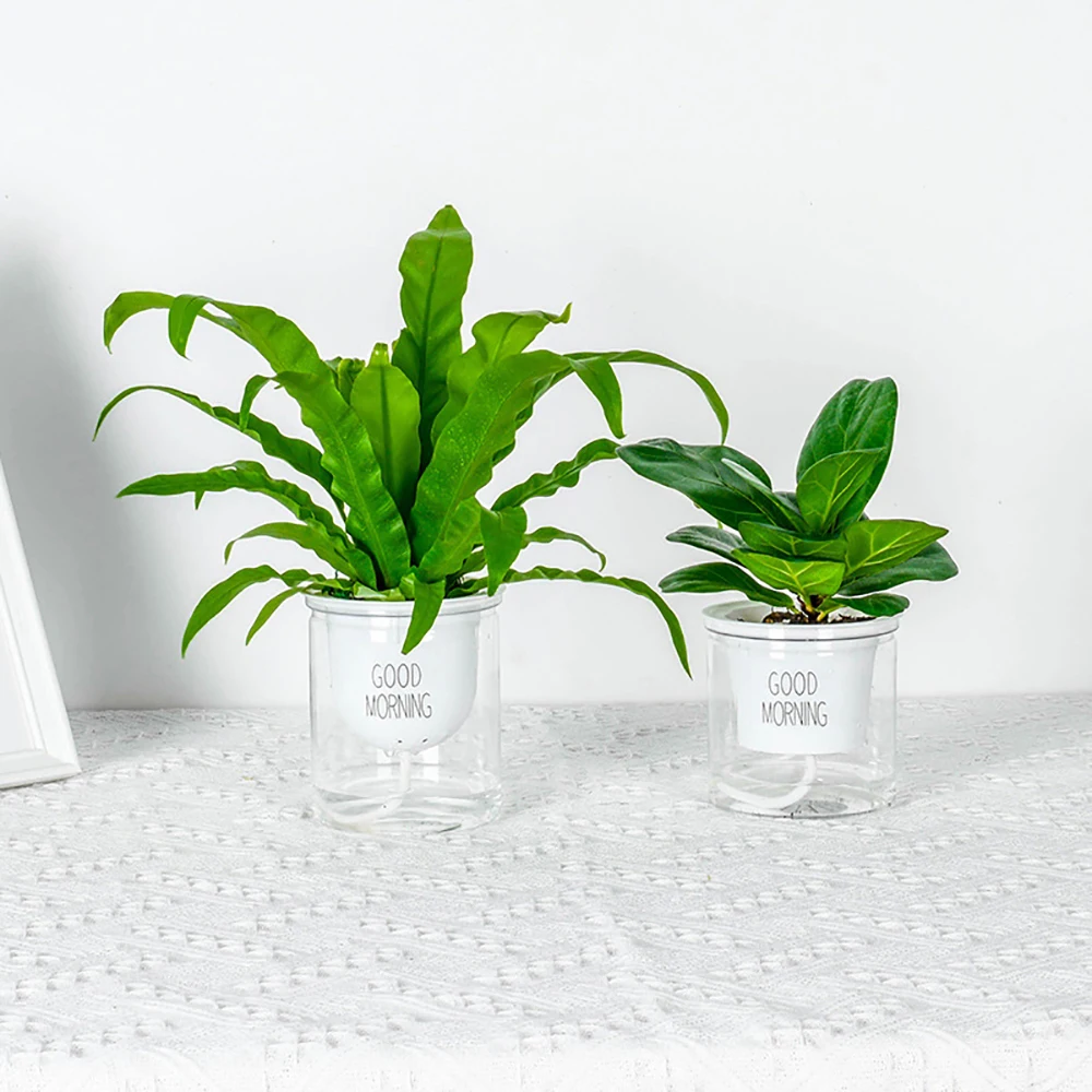 12779935882_1815754305