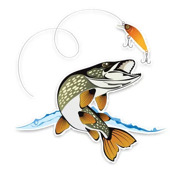 

DAWASARU Interesting Animal Fish Car Styling Car Sticker PVC Decal Decoration Personality Fashion Car Sticker Decal 15CM*15CM