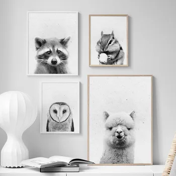 

Black White Alpaca Squirrel Raccoon Animals Wall Art Canvas Painting Nordic Posters And Prints Wall Pictures Living Room Decor