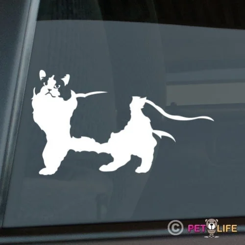 Ragdoll Cat Sticker Die Cut Vinyl feline kitten window decal | Игрушки и хобби