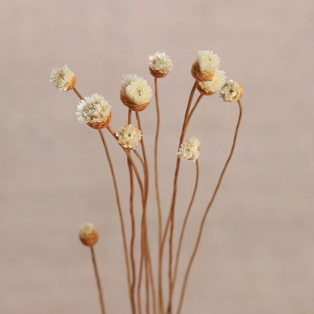 

5pcs Perfume Diffuser Sticks Artificial Flower Wavy Rattan Reed Fragrance Diffuser Replacement Refill Sticks Air Freshener Room