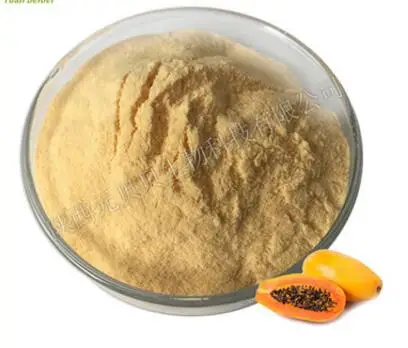 Pure Natural Plant Papaya Powder,Anti cancer,tumor,lymphatic leukemia