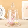 Transparent Creative Glass Bottles Decoration Crafts Transparent Dust-Proof Stand Dessert Candy Jars Tea Caddy Boxes Storage Jar 5