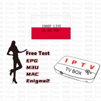 

Android TV box M3U 12 months warranty Arab India Europe Spain Europe IPTV XXX M3U smart TV without app