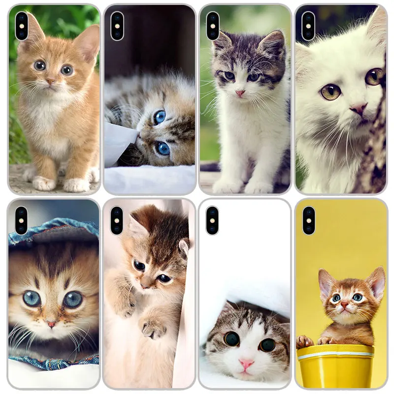 Cute Kittens Silicone Soft TPU Cases Covers For iPhone 11 Pro XS Max X XR 8 7 6S Plus 5S SE 4S Silicon Case Cover |