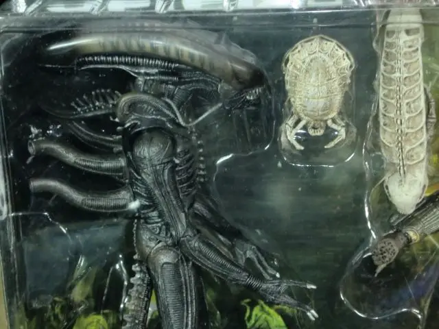 

Excellent Man Film And Television NECA Transparent Head Special Shape VS Predator Double-Mobile Figurine Alien