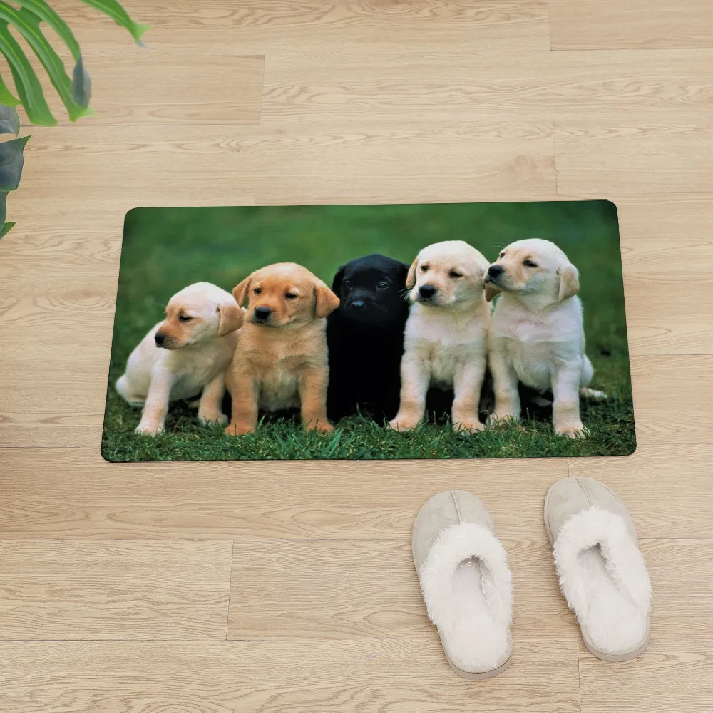 Лабрадор Pet Dog входная дверь коврики для кухни для пола Придверный коврик для улицы нескользящий ПВХ коврик для дома КОВРИК КОВРЫ в прихожую