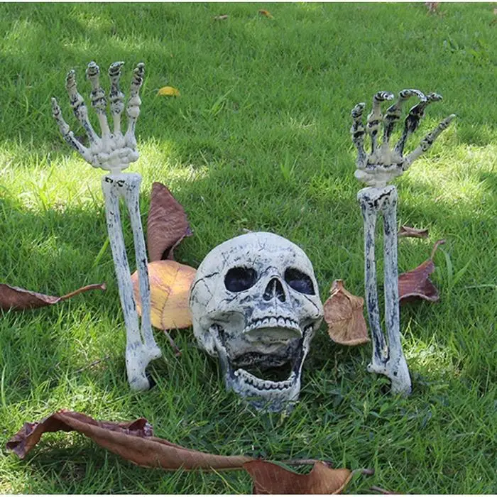 

Simulation Skull Prop Human Bones Skull As Picture Figurine for Halloween Party Decoration