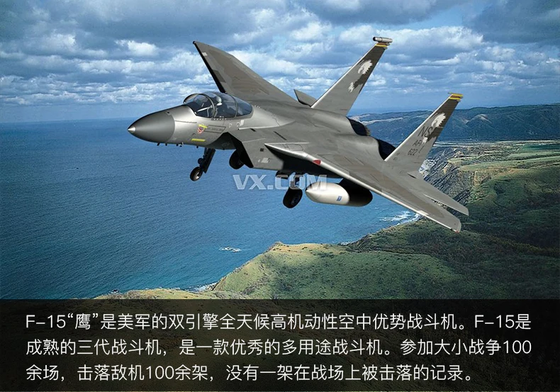 1: 100f14 Tomcat Истребитель модель F15 модель готовой продукции Сделано в Китае 14-летняя девочка или выше