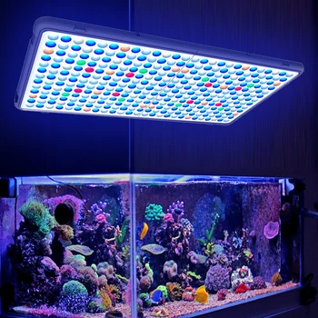 

Growing Lamps LED Grow Light 300W 338LED Grow Light Panel Full Spectrum Phyto Lamp For Plant Full Spectrum Plant Lighting Fitola